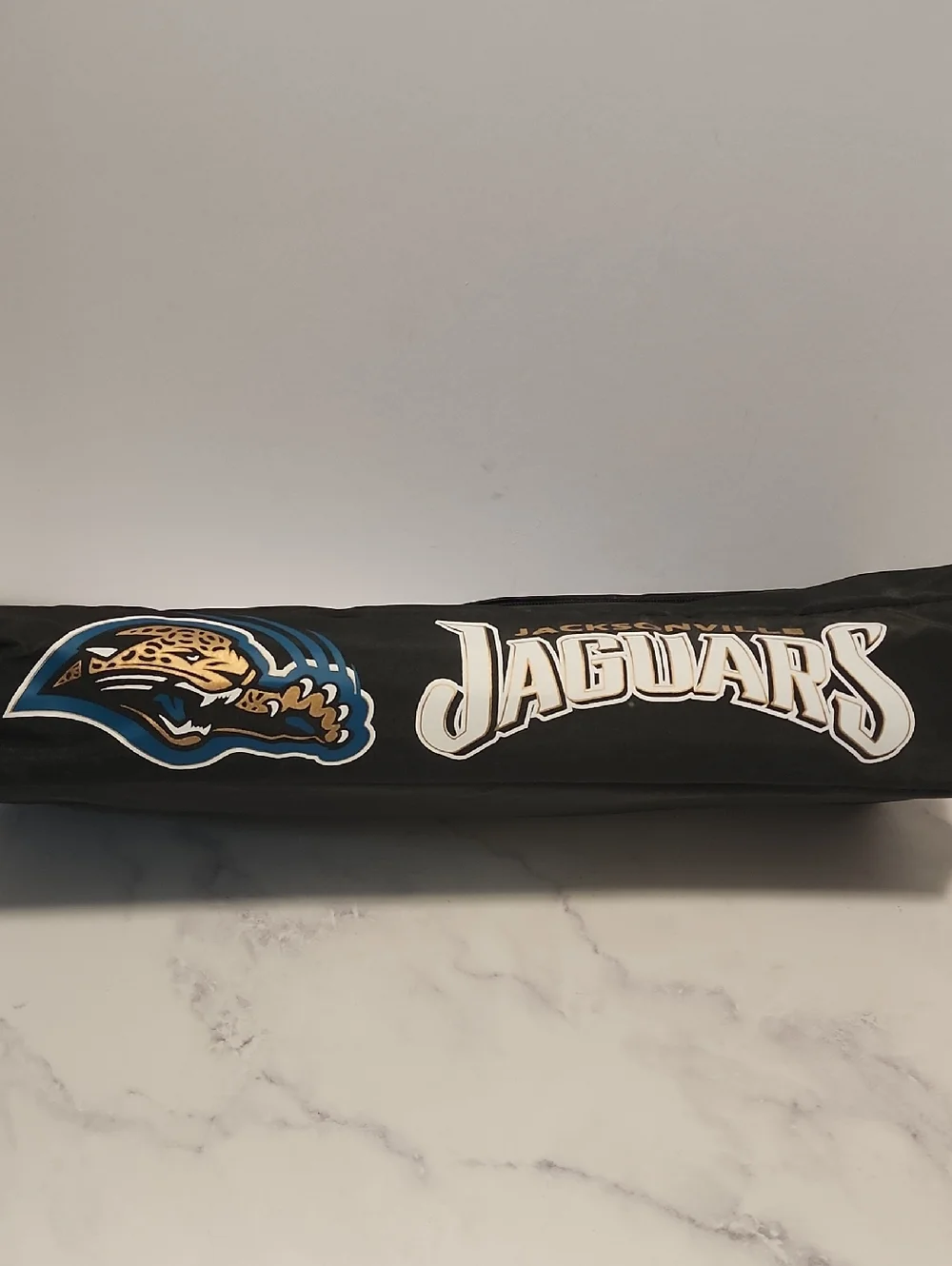 Jacksonville Jaguars The Joey Bag Cooler Black Team Logo Brand New No Tag